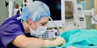 Dr. Graham-Carlson