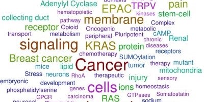 Research Specialties Word Cloud