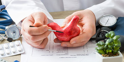 Stock photo of medical professional with a sculpture of an organ