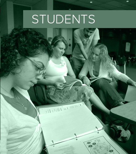Students page thumbnail on MSIT homepage