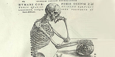 lithograph of skeleton