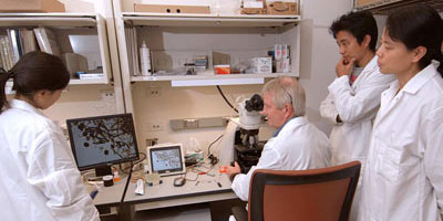 professor instructing students