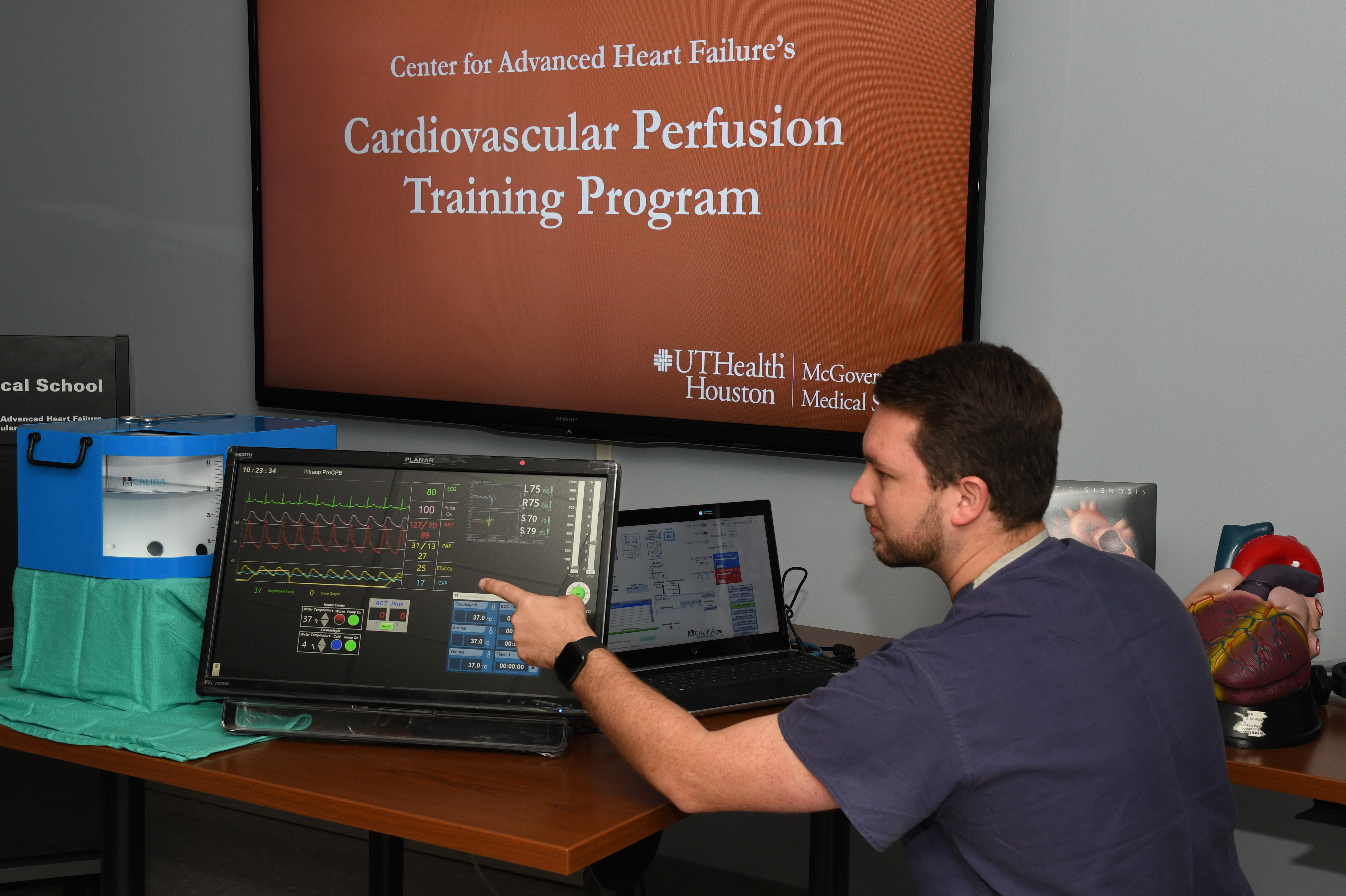 Perfusion Simulator 07