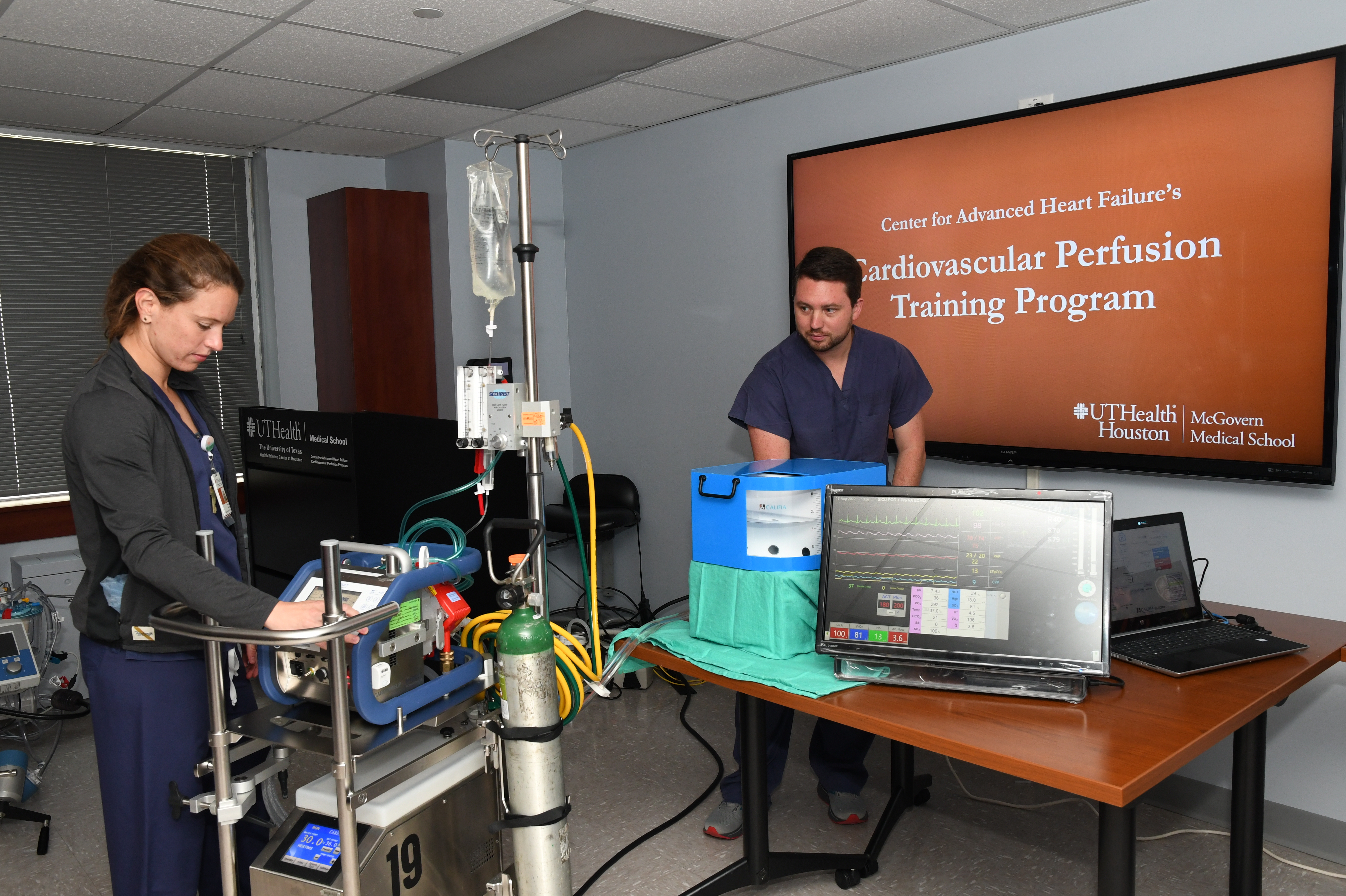 Perfusion Simulator 06