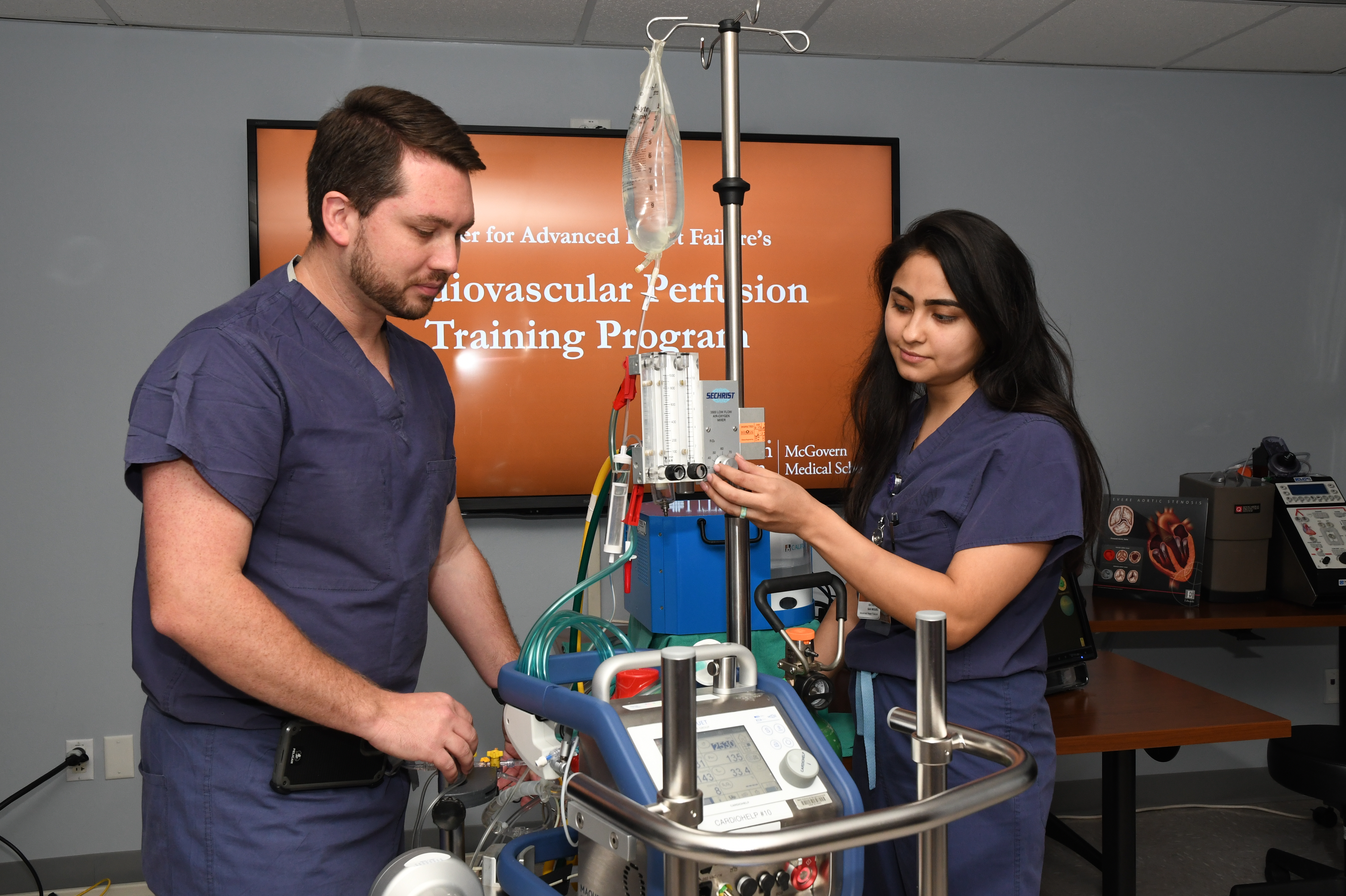 Perfusion Simulator 01